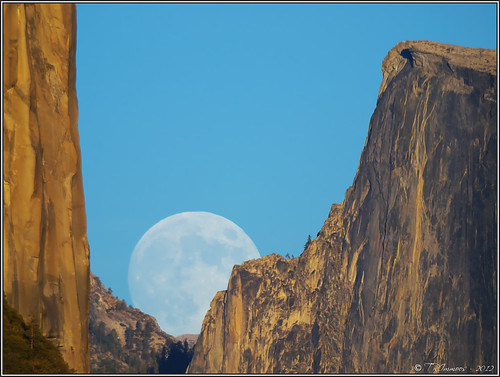 california blue sunset sky moon rock nationalpark olympus fullmoon moonrise yosemite granite halfdome yosemitenationalpark e3 elcapitan yosemitevalley mariposacounty granitedome telephotolandscape olympuse3