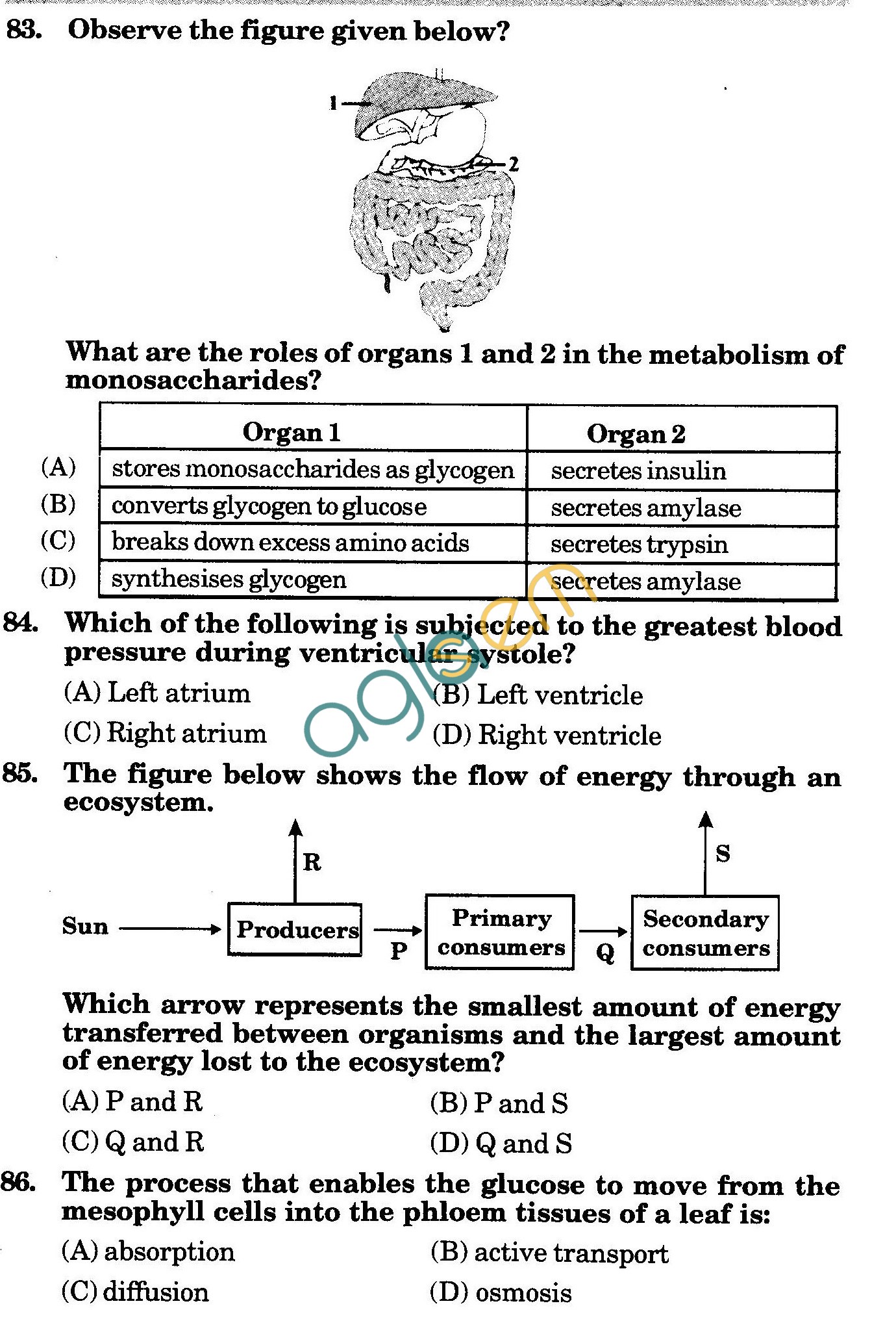 NSTSE 2010: Class X Question Paper with Answers - Biology