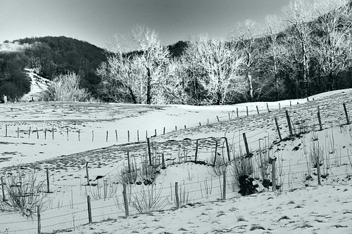 winter bw france landscape europe hiver nb paysage auvergne cantal