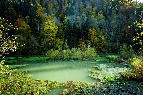 automne river riviere vert 2012 doubs 366