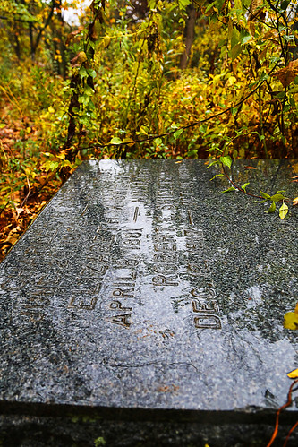 storm reflection wet cemetery graveyard rain dark dead puddle shower death illinois drops moody grove headstone tombstone il hills rainy bachelor palos damp bachelors