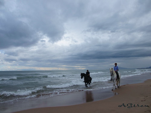 caballos mar flickr playa arena nubes gandia martesdenubes agirau