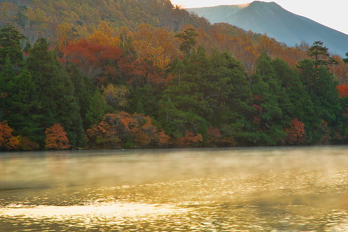 autumn lake reflection tree fall sunrise nikko tochigi 2012 yunoko