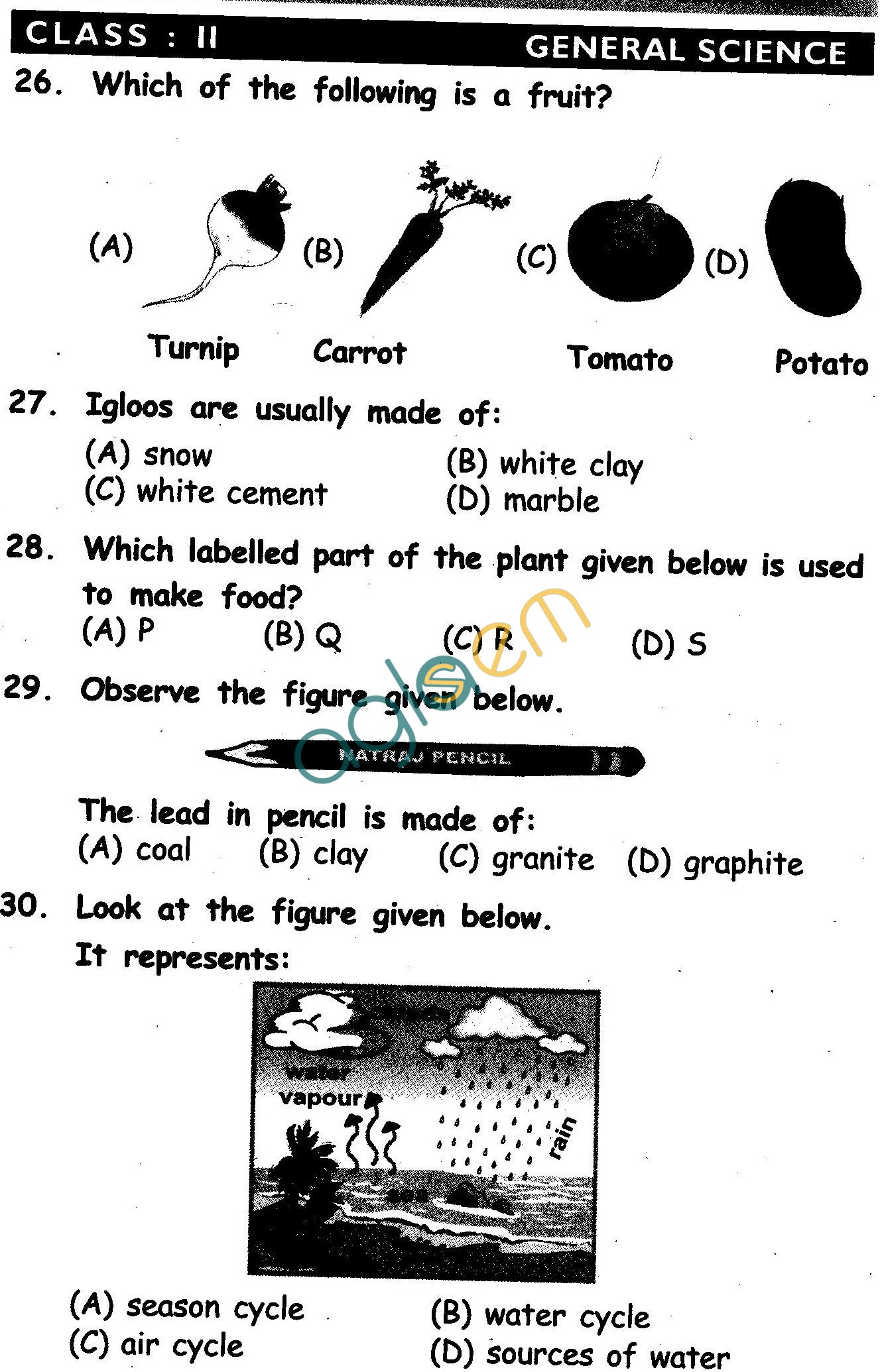 NSTSE 2010 Class II Question Paper with Answers Science