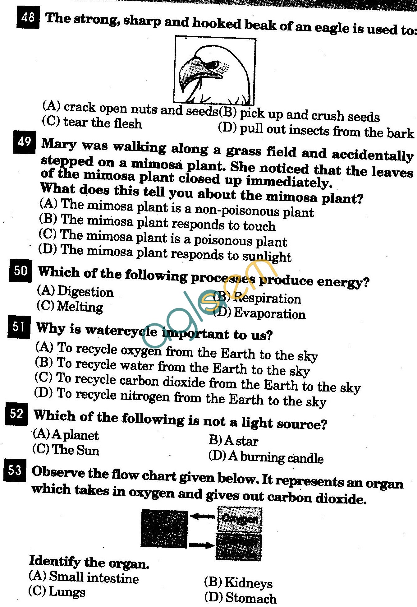 NSTSE 2011 Class III Question Paper with Answers - Science