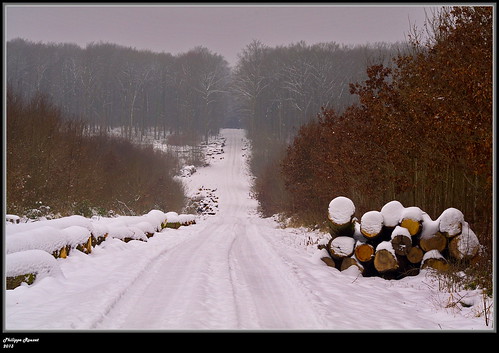 france landscape snowy timber hiver trail neige paysage forêt valois villers retz aisne domaniale grume taillis futaie cotterêts