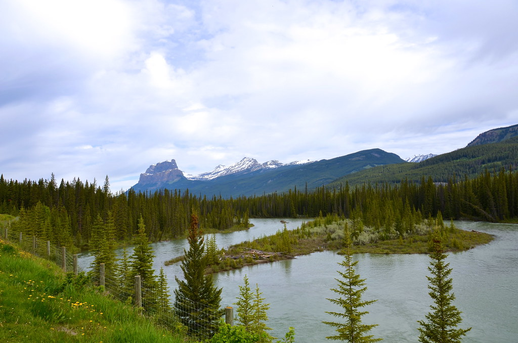 Banff To Jasper on the Icefields Parkway