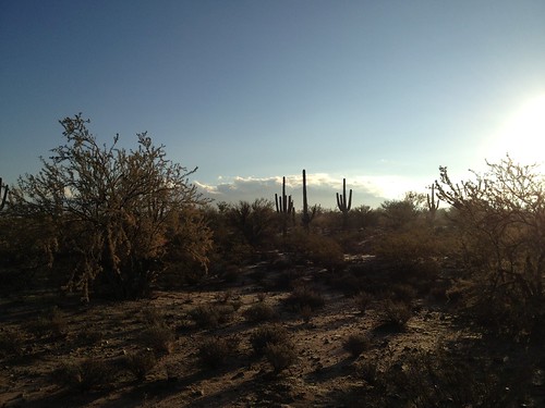 arizona cactus sky nature clouds tucson az