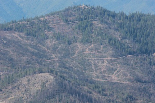 kswild logging fire klamathnationalforest westsidesalvage westsideplan knf publiclands lawsuit salvagelogging northerncalifornia