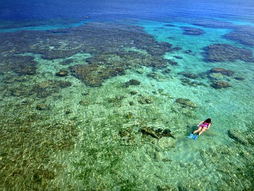 coral island honduras snorkeling tropical caribbean reef utila