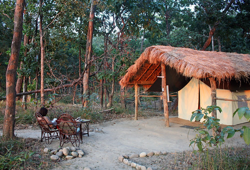 park nepal sunset camp sun west forest evening twilight asia dusk earth tiger tent national jungle western kathmandu tops tented bardia karnali bardiya earthasia