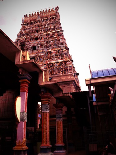 temples gopurams uploaded:by=flickrmobile flickriosapp:filter=orangutan orangutanfilter thirunallarsaneeswarantemple