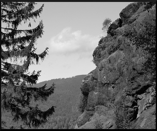 blackandwhite bw germany bayern deutschland natur landschaft silberberg bayerischerwald schwarzweis