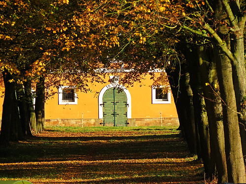 autumn fall avenue stable lairage