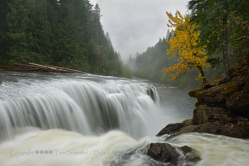 autumn tree rock fog river waterfall washington seasons falls tomschwabel giffordpinchotnationalforest lowerlewis