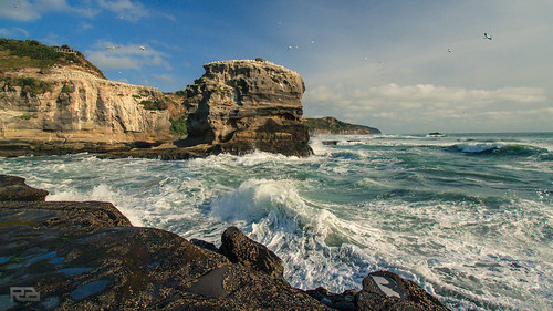 ocean newzealand seascape beach water coast waves scenic pacificocean tasmansea 2012 lightroom muriwai canon1022mm canon7d