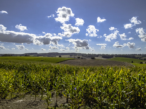 france nature field landscape cornfield centre scenary pastoral paysage fr contrejour champ champdemaïs argenvilliers