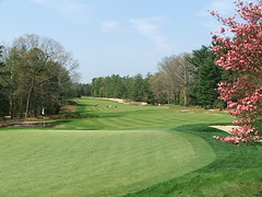 Pine Valley Golf Club, Short Course