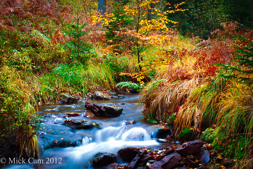 autumn nature colors automne canon couleurs ardennes amateur canoneos ruisseau canoneos5dmarkii mickcam