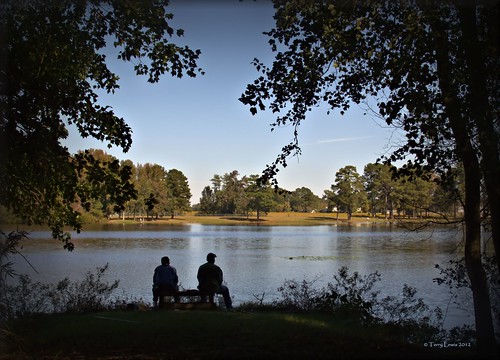 lake silhouette