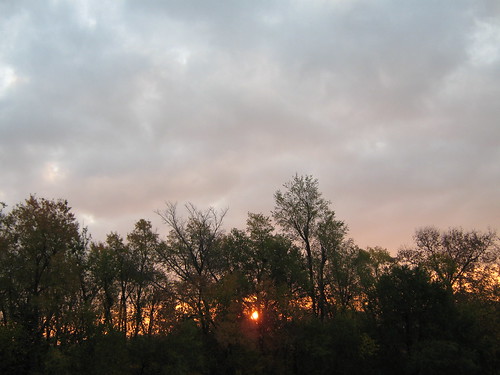 trees sky clouds sunrise kansas mothernature fortriley