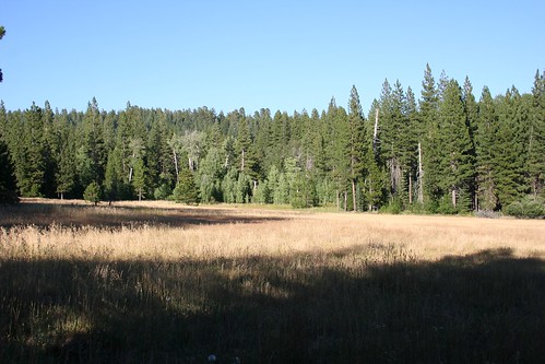 california usa lake forest national plumas