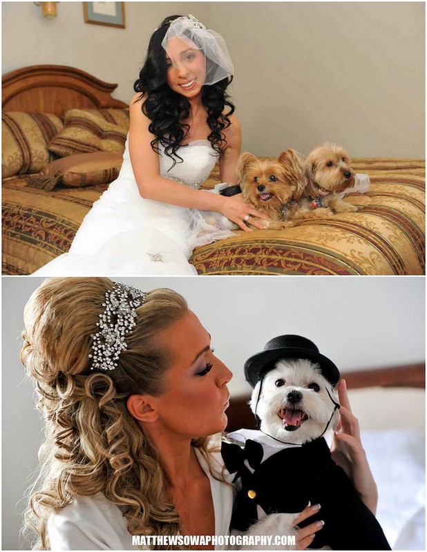 Bridal Styles brides and their dogs