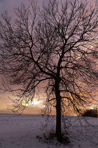 winter light sunset snow color canon germany deutschland thüringen thuringia wonderland eichsfeld canoneosd canoneos5dmarkii dieteröderklippen