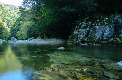 river landscape 日本 広島県 02景色 山県郡
