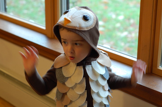 White Brown Barn Owl Animal Toddler Halloween Costume 
