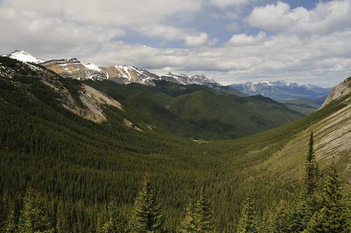 canada mountains forest montagne landscape rockies jasper alberta paysage forêt