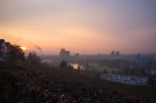 city sun mist clouds sunrise switzerland vineyard cityscape zurich hill limmat höngg