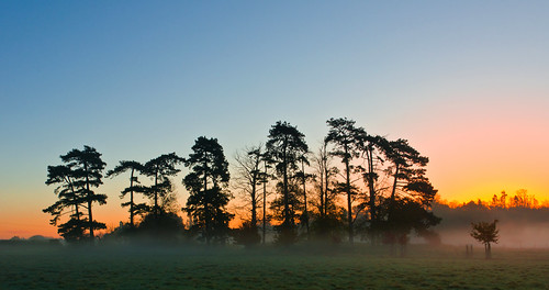 uk morning autumn trees mist sunrise dawn nikon silhouettes worcestershire nikkor pershore 1685mm d7000 vrjactoll