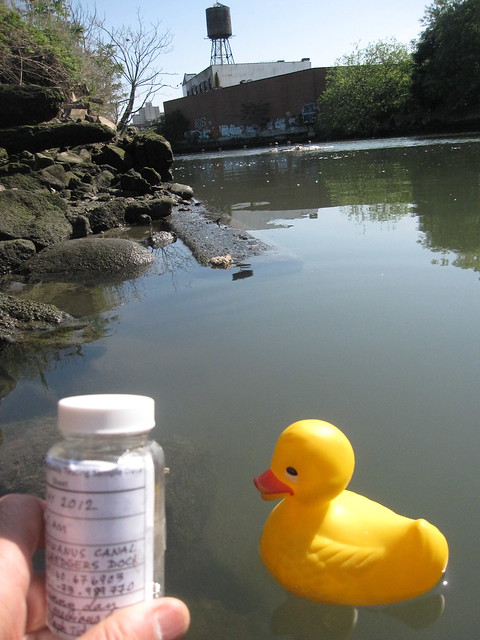 12_2012 17 March_ River Project Water Quality Citizen Testing Station at Gowanus Canal 2nd Street Dock_Oh Rubber Ducky_when will you really swim