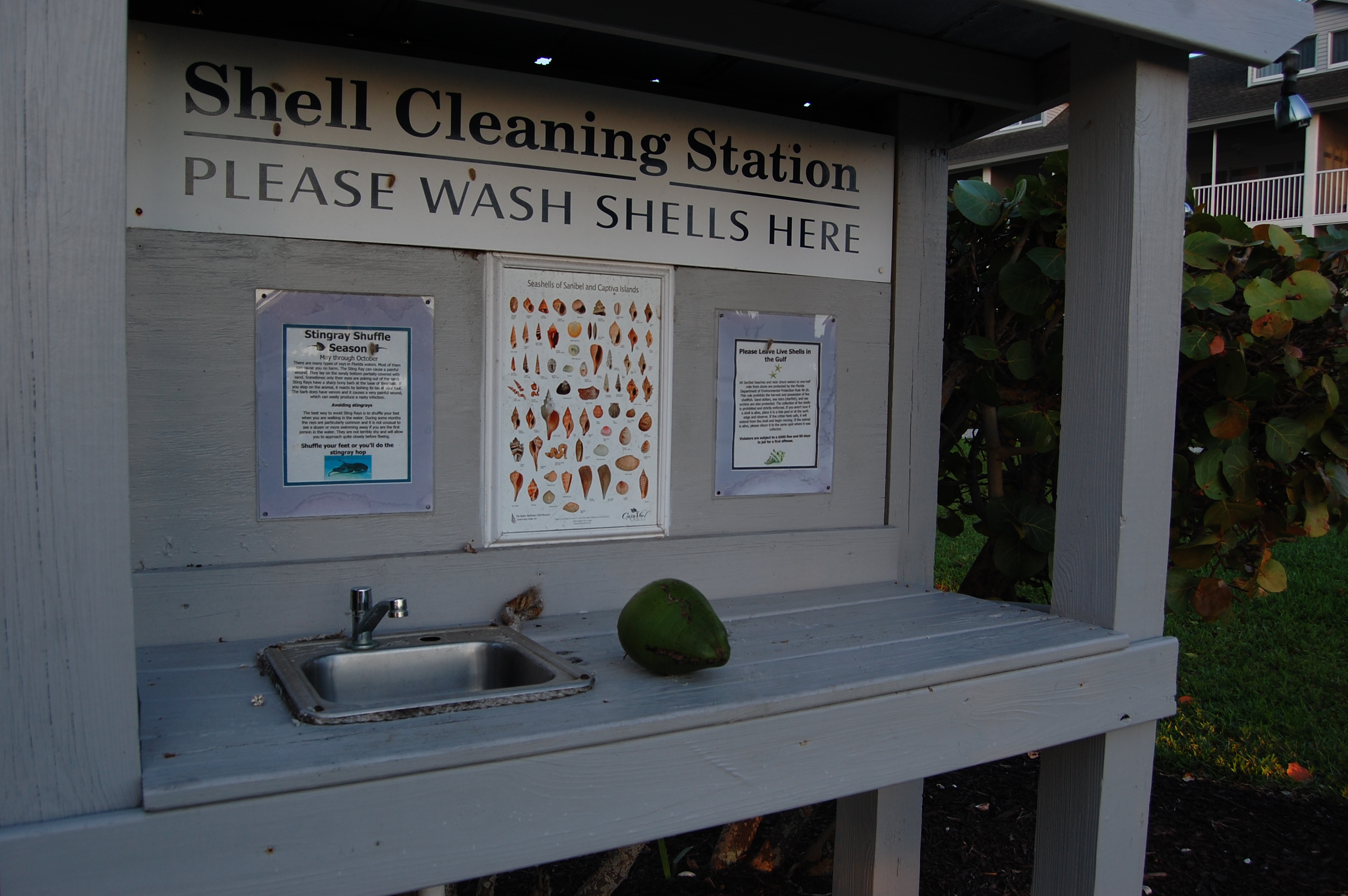 Shell Cleaning Station, Sanibel Island