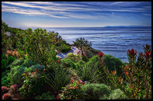 ocean california sea flower art water fence john bench island catalina nikon friend carlton view surfer seat ritz missed d7000 ©markpatton