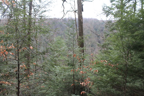 view valley gorge zoar andyarthur