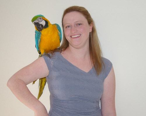 Is It Safe To Let Your Bird On Your Shoulder Or On A High Perch?