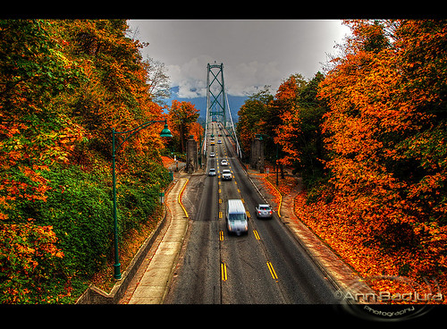 autumn trees canada mountains fall cars vancouver scenery colours view britishcolumbia stanleypark lionsgatebridge stanleyparkcauseway insidevancouver blinkagain