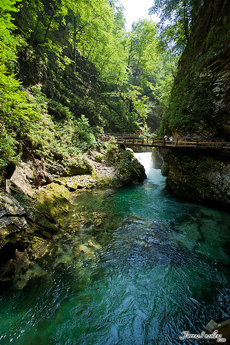 Vintgar Gorge (Eslovenia)