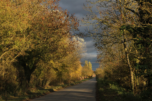 uk autumn trees light england canon landscape countryside colours lincolnshire