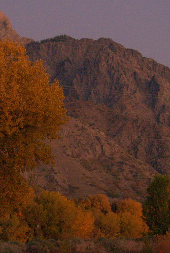 autumn trees mountain autumnleaves mountainsutah
