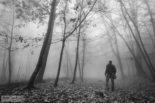 autumn bw españa fog zeiss forest landscape catalunya cataluña muntanya ze 2012 tardor montseny carlzeiss boira guilleries distagont2821 fogarsdemontclús canoneos5dmarkiii carlzeissdistagonze21mmf28
