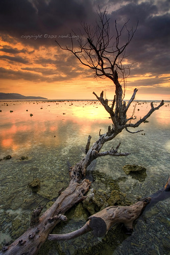 sunset seascape tree beach canon indonesia landscape eos asia south tide low east filter 5d ang gili lombok randi trawangan ntb