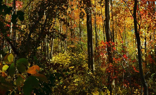 oldcemetery cromwell autumn johnjmurphyiii connecticut eastcemetery usa 06416 foliage