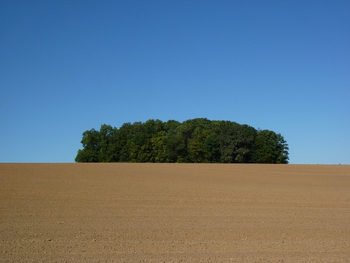 wood field landscape geotagged countryside paysage campagne bois champ aisne etavesetbocquiaux geo:lat=4991615219207614 geo:lon=34182757380066278