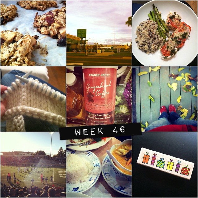 2012 in pictures: week 46