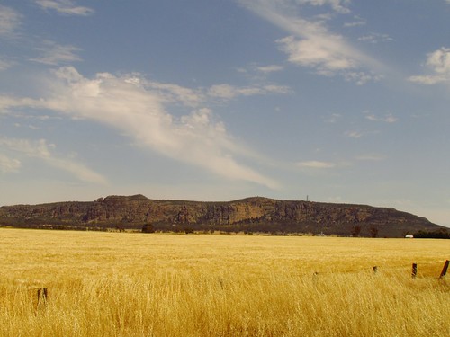 barley grain harvest australia victoria crop agriculture mtarapiles natimuk