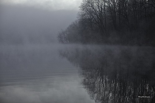 autumn trees mist water fog reflections maryland nik libertyreservoir canonef50mmf12l colorefexpro4