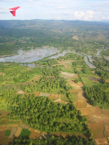 sumatra indonesia aerialview aceh ricefields индонезия суматра